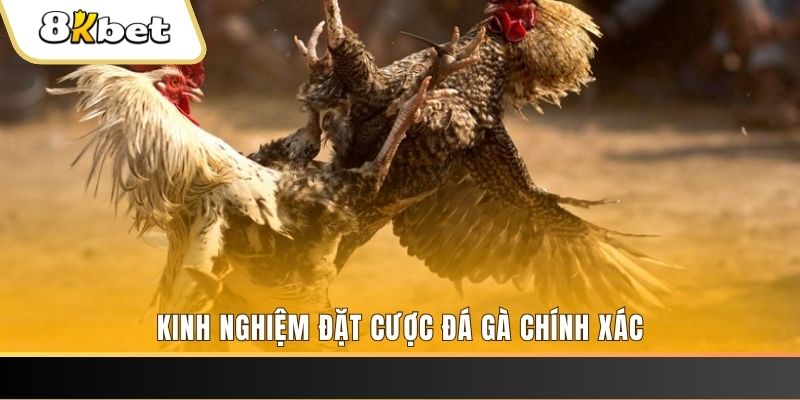 ww88 xổ số thứ bảy hàng tuần