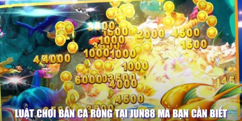 ww88 xổ số đài hà nội