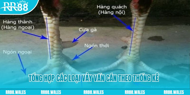 ww88 casino hồ tràm có cho người việt vào không