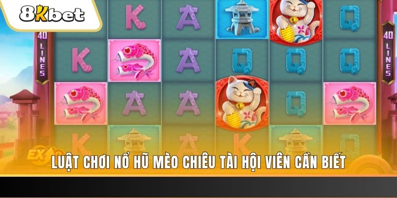 ww88 gà chọi cu cần