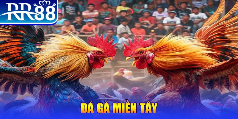 ww88 người chia bài trong casino gọi là gì
